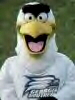 Booster EYES's Avatar